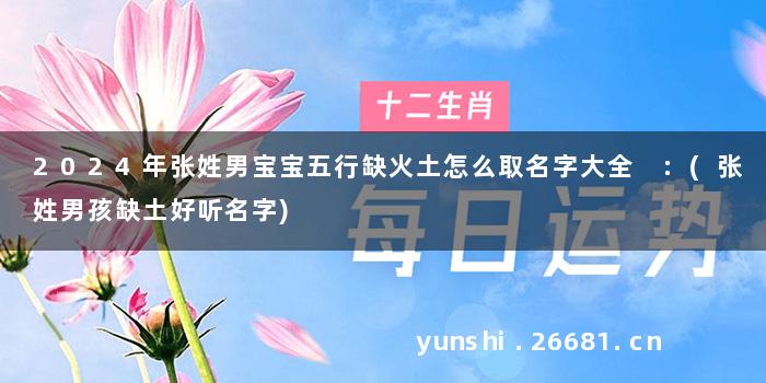 2024年张姓男宝宝五行缺火土怎么取名字大全 :(张姓男孩缺土好听名字)